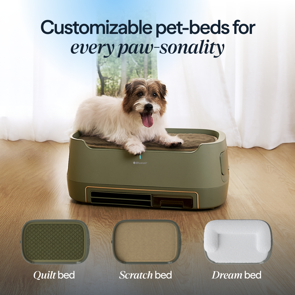 PetAir Pro Scratch Bed