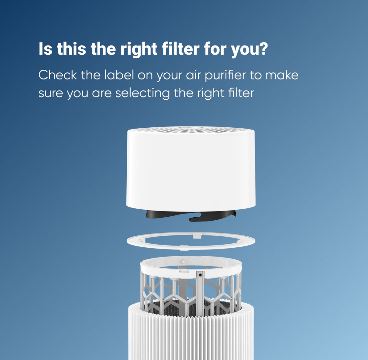 Blue Pure 411 Series Particle + Carbon Filter